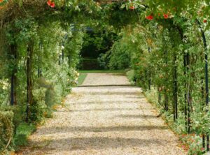 Garden Netting