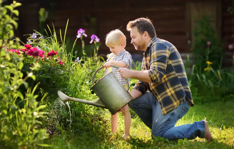 Watering flowers