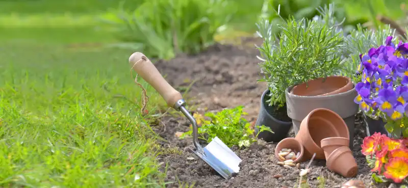 Soil preparation